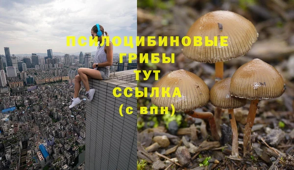 MESCALINE Алзамай