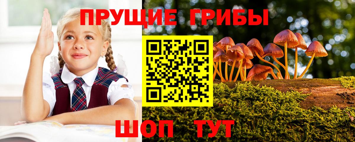 продажа наркотиков  Вход с VPN  Бийск  Галлюциногенные грибы прущие грибы 