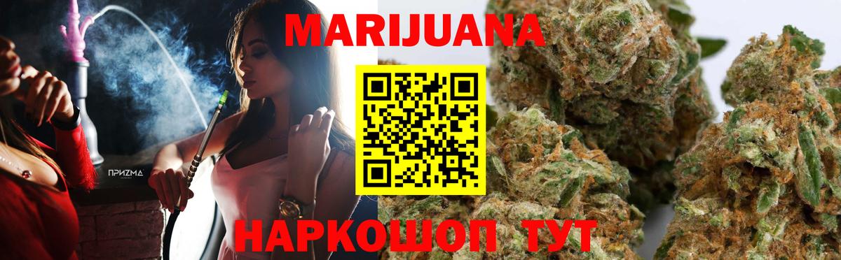 Конопля гибрид Бийск